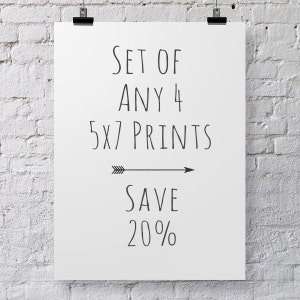 Four 5x7 Photographs- Save 20% Custom Set Four Photograph Set Fine Art Prints Nature Photography, Still Life Photography, Flower Photography