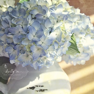 Fotografía de Hydrangea- Fotografía de flores, impresión de flores de Hydrangea, decoración de cabaña, arte de pared floral, foto de la vida quieta, decoración del bronceado blanco azul