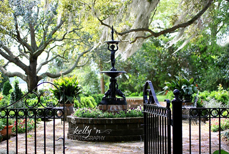 Garden Photography- Beaufort SC Oak Trees Spanish Moss Southern Garden Print Green Black Garden Art Garden Gate Fountain Photo