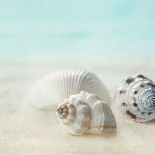 Sea Shell Print - Etsy