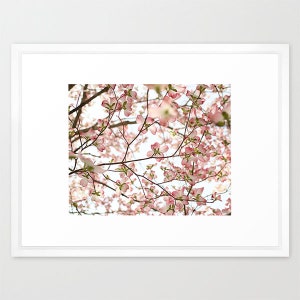 Pu&ograve; includere: Un primo piano di un ramo di albero con fiori rosa di corniolo. I fiori sono in piena fioritura e creano un'atmosfera delicata e romantica.