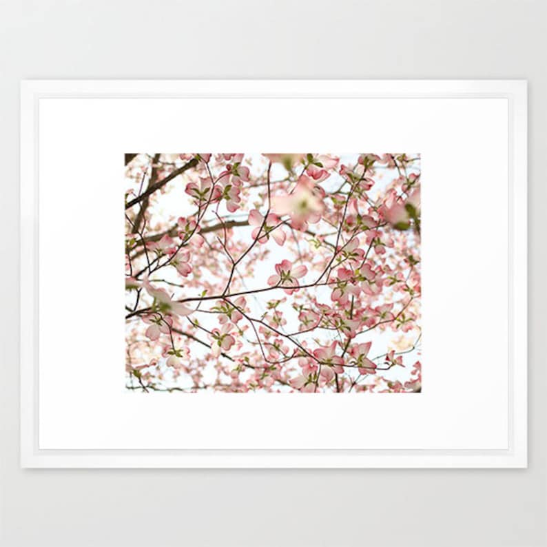 Pu&ograve; includere: Un primo piano di un ramo di albero con fiori rosa di corniolo. I fiori sono in piena fioritura e creano un'atmosfera delicata e romantica.