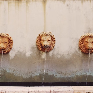 Three Lion Fountain- Fountain Photography, 3 Lion Head Fountain Print, Terracotta Lions Water Fountain Print, Charleston SC, Bathroom Decor