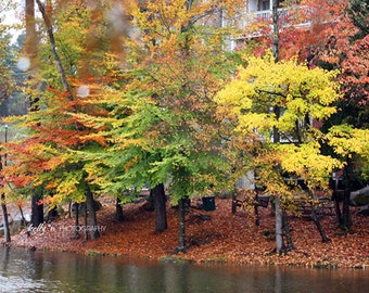 Fall Photography- Autumn Trees Print, Fall Foliage Landscape Photograph, Colors of Fall Print, Autumn Leaves, Fall Home Decor, Nature Photo