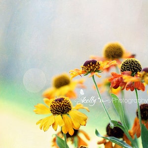 Flower Photography, Helenium Flowers Photo, Nature Photography, Floral Wall Art, Summer Flowers Print, Orange Yellow Green, Sneezeweed Photo