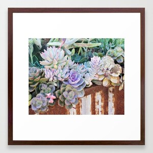 Succulents Photography Nature Photography, Garden Art, Botanical Print, Succulent Wall Art, Purple, Green Rustic Decor, Desert Plants Photo image 3