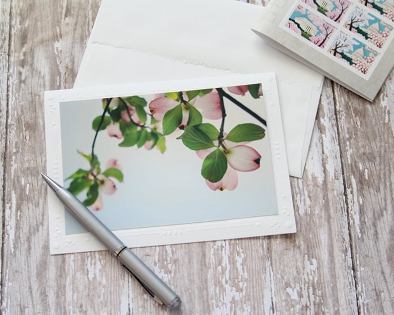 Your Choice of Images in My Shop Set of Four Fine Art Note Cards Custom Set Photo Blank Greeting Cards Save 12/% Floral Note Cards