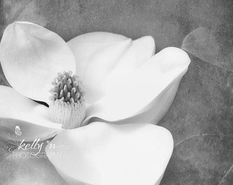 Magnolia Photograph- Magnolia Bloom, Flower Photography, Botanical Print, Black White Grey Photo, Magnolia Grandiflora Black and White Print