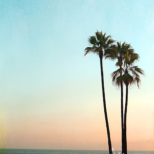 Palm Tree Photograph Laguna Beach Sunset Photo, Summer Beach Photograph, Aqua Orange, Coastal Art, Beach Decor, Tropical Palm Trees Print image 1