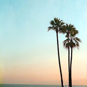 Palm Tree Photograph- Laguna Beach Sunset Photo, Summer Beach Photograph, Aqua Orange, Coastal Art, Beach Decor, Tropical Palm Trees Print