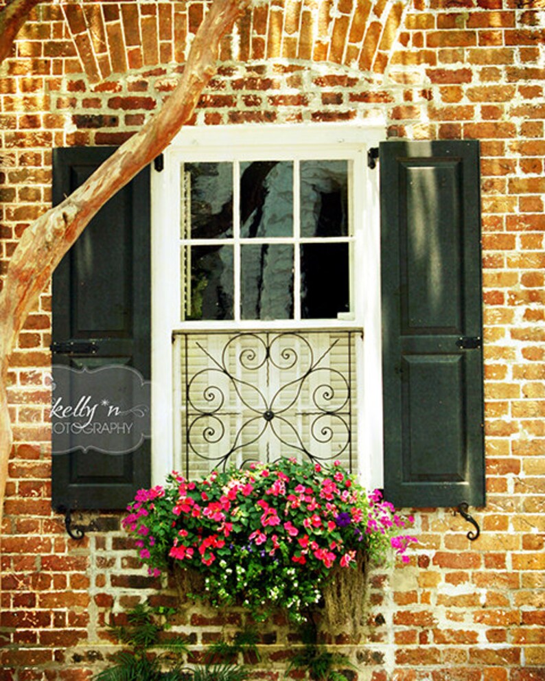 Window Photograph Charleston SC Window Print Window Box - Etsy