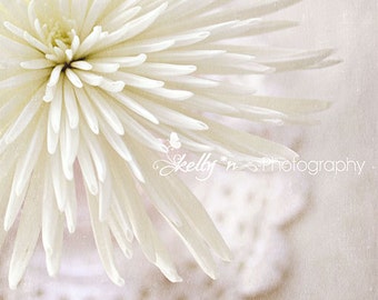 Flower Photography- White Spider Mum Photo, Still Life Photo, White Flower Decor, Floral Wall Art, Floral Still Life, White Mum Print