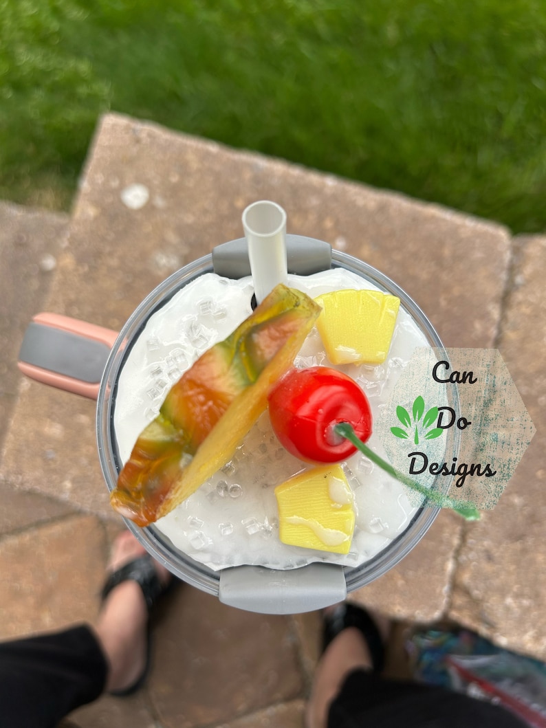 Pina Colada Pineapple Cherry Fake Ice Topper for 40oz or 20/30oz ...