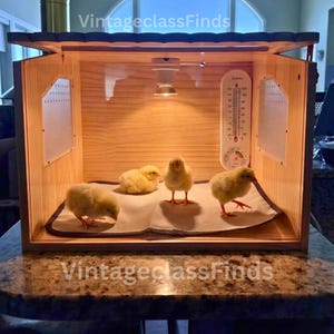 May include: A wooden incubator with four yellow chicks inside. The incubator has a light, a thermometer, and a small mat. The text "VintageclassFinds" is visible on the front.
