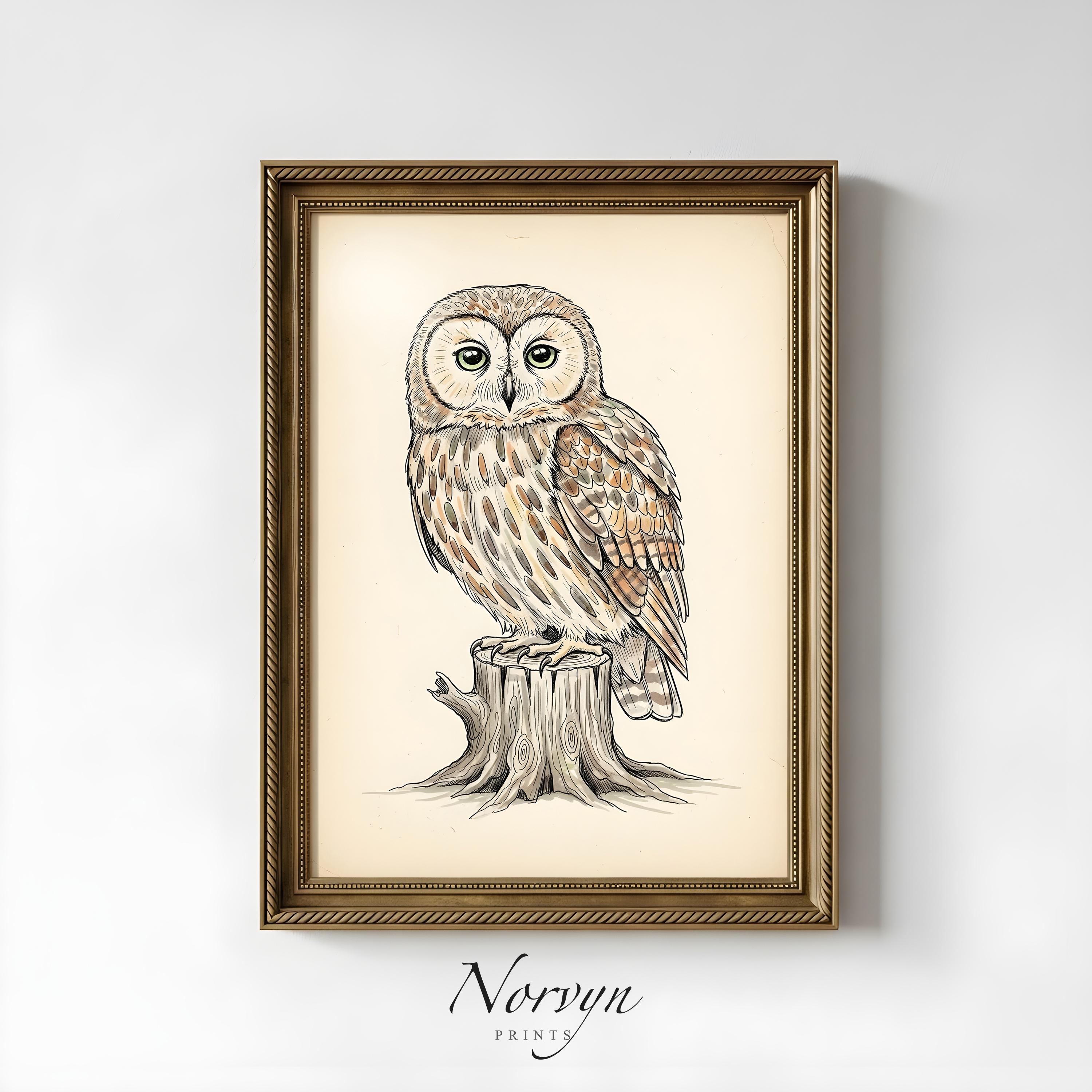 Vintage Owl Illustration Printable | Woodland Bird Wall Art