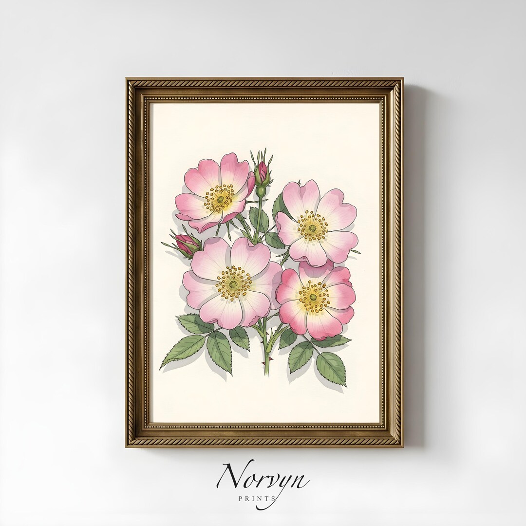 Wild Rose Botanical Printable Wall Art, Vintage Pink Floral ...