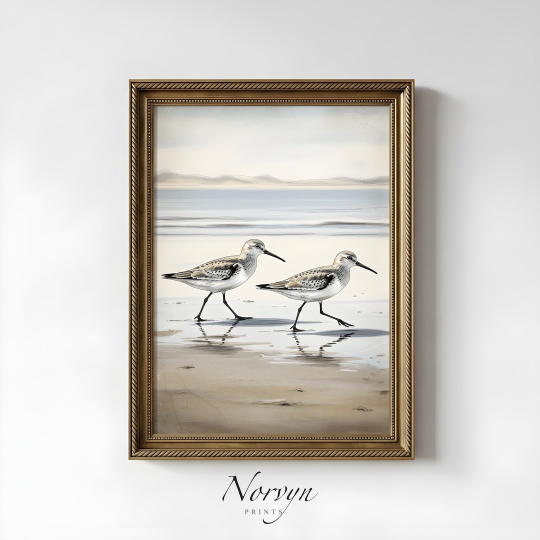Vintage Shorebird Print | Coastal Bird Wall Art Printable | Beach House ...