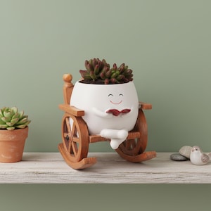 May include: A whimsical white egg-shaped planter with a smiling face, holding a red book, seated in a wooden rocking chair. The planter is filled with a succulent plant. A small terracotta pot with a succulent is to the left.