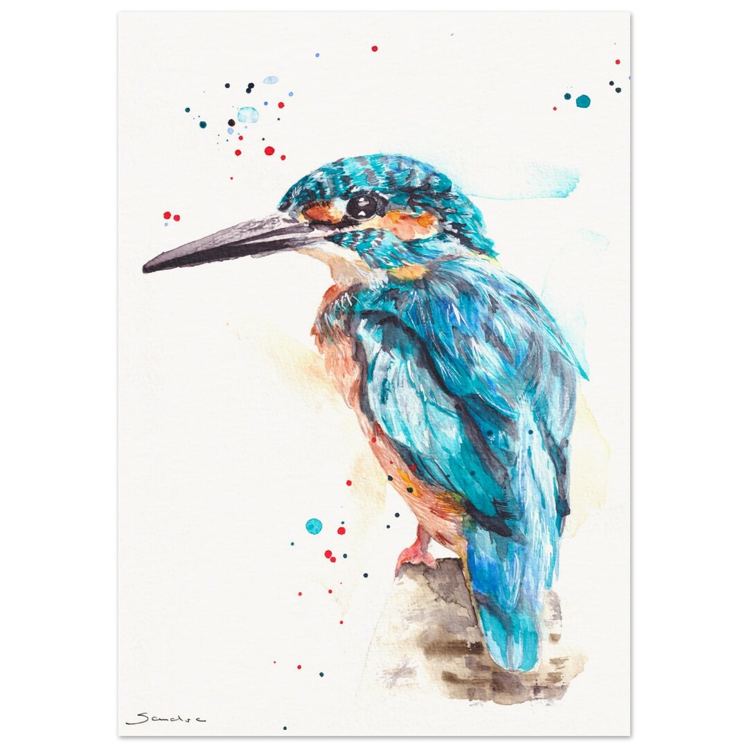 Kingfisher Art Print A4 | Bird Illustration | Nature Art Wall Art ...
