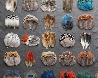 Echte Vogelfeder-Muster - verschiedene Größen, ethisch hergestelltes Handwerksdekor