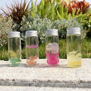 Könnte beinhalten: Vier kleine Glasflaschen mit silbernen Deckeln, die jeweils einen andersfarbigen Gegenstand enthalten, der in klarer Flüssigkeit schwebt. Die Objekte haben verschiedene Formen und Farben, darunter Grün, Orange, Rosa und Gelb. Die Flaschen sind auf einer Steinoberfläche angeordnet.