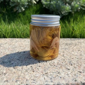 Puede incluir: Un tarro de cristal transparente con tapa plateada, lleno de un líquido amarillento y lo que parecen ser partes de animales conservadas. El tarro está sobre una superficie de piedra, con hierba verde y follaje en el fondo.