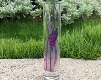 Diaphonized Ribbon Fish Bone Wet Specimen Real Preserved Skeleton Gothic Marine Oddity Natural Death Ethical Source