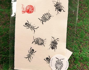 SCUTTLE Handmade Bug Art Print