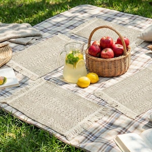 May include: A picnic scene with a checkered blanket, woven placemats, and a wicker basket filled with red apples. A glass pitcher of lemonade with lemons and mint sits nearby. The scene is set on green grass.