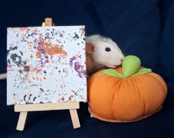 Mini toile peinte par un rat | Peinture originale réalisée par des rats domestiques | Art personnalisé par un rat | Cadeau idéal pour les amoureux des rats | Chevalet et vidéo en option