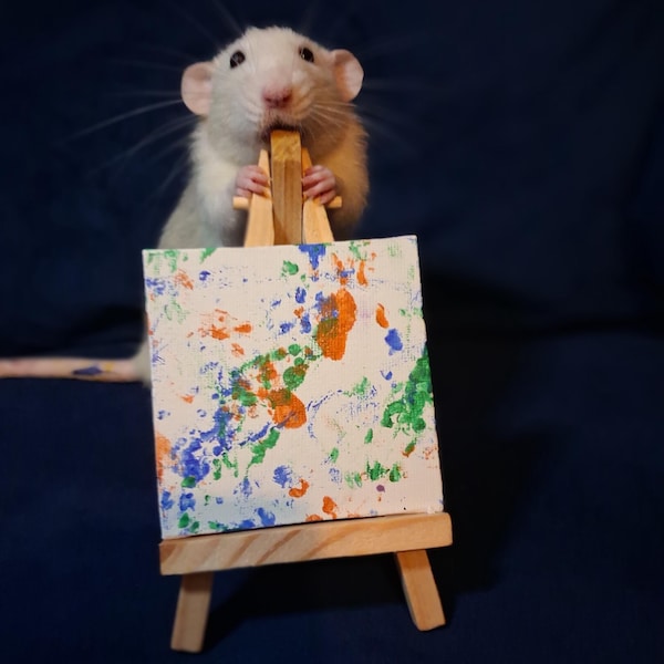 Rat Painted Mini Canvas | Original Painting Made by Pet Rats | Personalised Rat Art | Rat Lover Gift | Optional Easel & Video