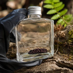 May include: A clear, square glass bottle with a silver cap, containing a dark, textured object. The bottle is held by a person wearing a black glove. The background features natural elements like wood and green foliage.