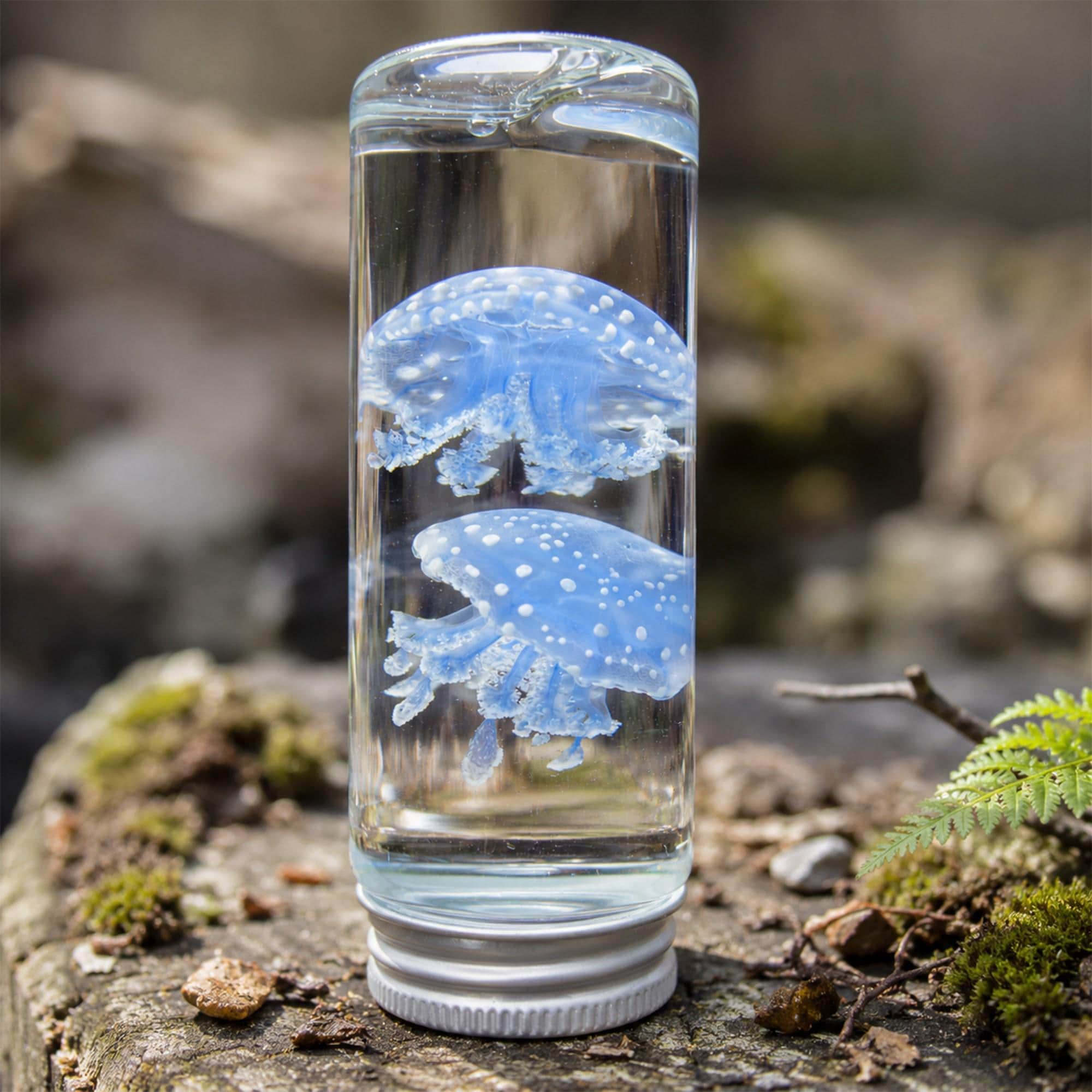 Diaphonized Jellyfish - Etsy Australia