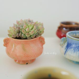 May include: A succulent plant in a peach-colored ceramic pot with decorative handles. Two other ceramic pots are in the background, one red and brown, and the other blue and white. The pots are on a white surface.