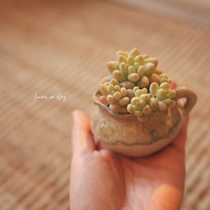 Ink-Wash Landscape Collection: Handmade Ceramic Succulent Pots in Ancient Chinese Painting Style