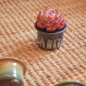 May include: A small, pink succulent plant potted in a cylindrical ceramic container with a blue and tan drip glaze finish. The pot features a wide, flat rim and a smooth, glossy texture. Additional similar ceramic pots are visible in the foreground.