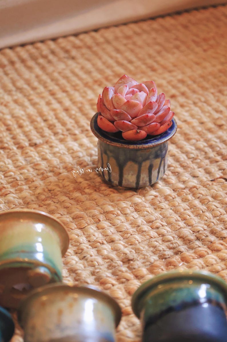 May include: A small, pink succulent plant potted in a cylindrical ceramic container with a blue and tan drip glaze finish. The pot features a wide, flat rim and a smooth, glossy texture. Additional similar ceramic pots are visible in the foreground.