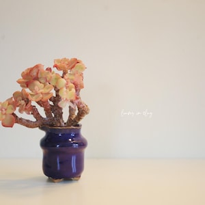 2 Inch Handmade Clay Succulent Pots [Forest] – Small Breathable Art Planters with Drainage