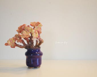 2 Inch Handmade Clay Succulent Pots [Forest] – Small Breathable Art Planters with Drainage
