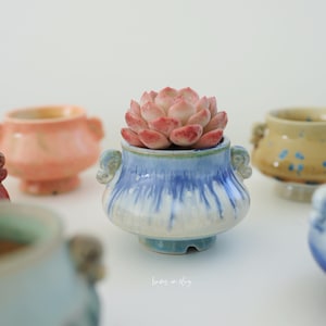 May include: A small, blue and white ceramic planter with a succulent plant. The planter has a rounded shape with two handles and a light blue and white glaze. The succulent has pink and green leaves. Other planters are in the background.