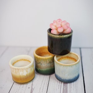 May include: Four small cylindrical ceramic planters with reactive glaze finishes. One dark green planter holds a pale pink succulent. The other three planters feature gradient color transitions in shades of yellow, green, and blue with textured rims.