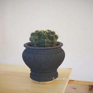 3Inch textured black planter for Cactus/succulents