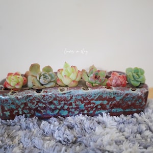 May include: A rectangular ceramic planter with a distressed, textured finish in shades of burgundy and turquoise. The planter holds six small succulents with green, red, and yellow leaves. The planter is resting on a gray, fluffy surface.