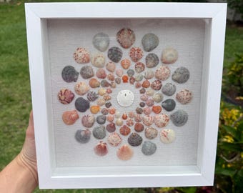 May include: A framed seashell art piece. The white frame surrounds a collection of various seashells arranged in a circular pattern on a light-colored fabric. The shells are in shades of white, tan, orange, and gray.
