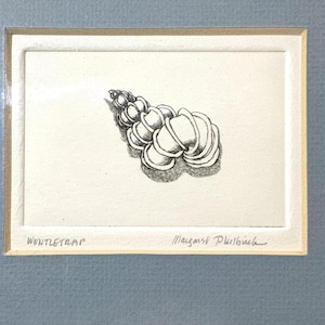 Wentletrap, by Margaret Philbrick, Miniature, Signed Coastal Print, Vintage, Blue Mat, Ready for Framing