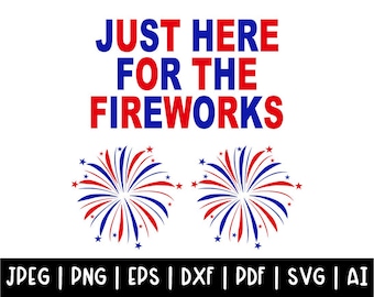 Pareja de fuegos artificiales SVG PNG, SVG del 4 de julio, Solo aquí por los fuegos artificiales SVG, EE. UU. SVG, Americano SVG, Humor para adultos PNG, Archivos de corte, Regalo para ella