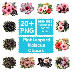 Rosa leopardhibiskus Clipart 20+PNG, digital nedladdning, kommersiellt bruk
