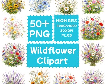 Clipart z dzikimi kwiatami 50+PNG, do pobrania cyfrowego, do użytku komercyjnego