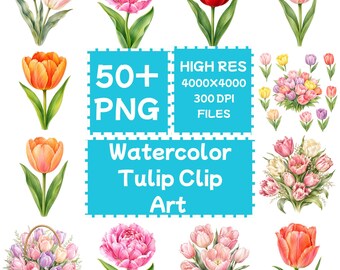 水彩チューリップクリップアート50点以上PNG、花柄植物セット、デジタルダウンロード、商用利用可