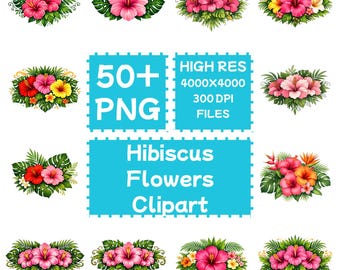 Hibiscus Flowers Clipart 50+PNG, Digital Download, Commercial Use